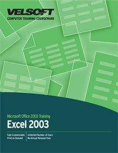 Excel 2003 - Advanced