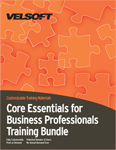 Core Essentials for Business Professionals