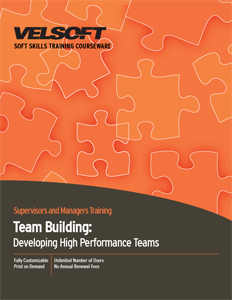 Team Building: Developing High Performance Teams