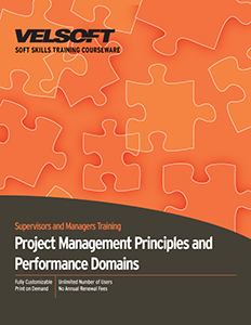 Project Management Principles and Performance Domains