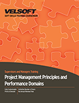 Project Management Principles and Performance Domains