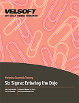 Six Sigma: Entering the Dojo
