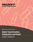 Digital Transformation: Organization and People